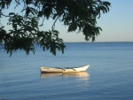 Pirogue au milieu de l'eau