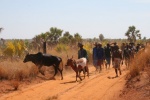 En chemin pour les grottes Mahajunga